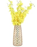 floreros de vidrio por mayor en mexico Decoración de Plantas - Adecuado para rellenar diferentes plantas y artículos, como flores secas o de seda, ramas, trigo, perlas, guijarros y otros rellenos de florero.