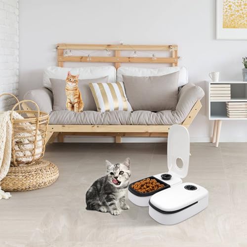Idota Futterautomat für Katzen, Futterautomat Katze für 2 Mahlzeiten mit 48 Stunden Timer 700ml Automatisierte Futterspender für Katzen und kleine Hunde zum Nassfutter und Trockenfutter - Schwarz