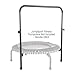 JumpSport 350 PRO Indoor Heavy Duty Lightweight 39-Inch Fitness Rebounder Adults Trampoline with Sporty Steel Handle Bar Accessory for Workouts, Black