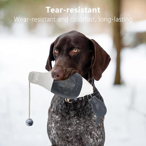 WideSmart Dummy Hundetraining,Hundetraining-Enten Dummy Hund Hundetraining Zubehör Apportierdummy Dummy Hundetraining Wasserspielzeug Hund Hunde Dummy Hunde