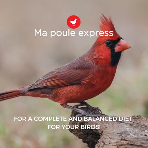Ma Poule Express All Season Wild Bird Food Blend - Premium Canadian Supplier for Bird Seeds, (5lbs) 2.27KG Bag - Image 6
