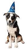 Rubie's Wizard Hat with Beard for Pets, Medium/Large