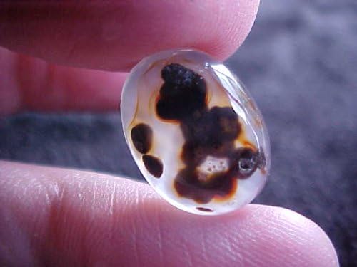 Gemqz S2502 Dendrite Scenery Agate Oval Cabochon !!!