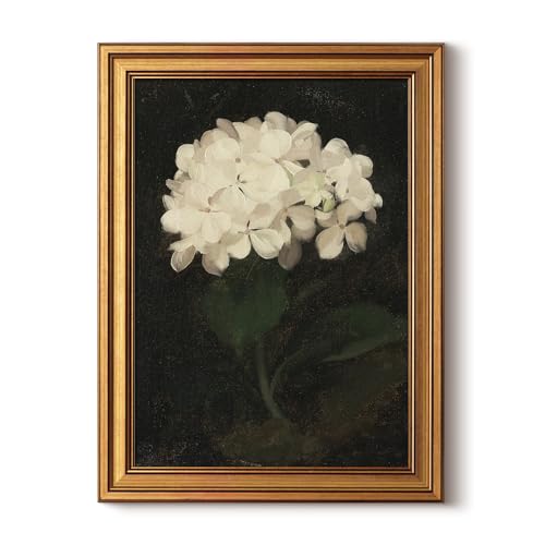 Image of HUARCEY Gold Framed Vintage Wall Art: White Hydrangea by James Stuart Parker (12 inchx16 inch) for Living Room, Bedroom, Kitchen & Office