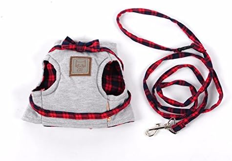 taste of the wild class action