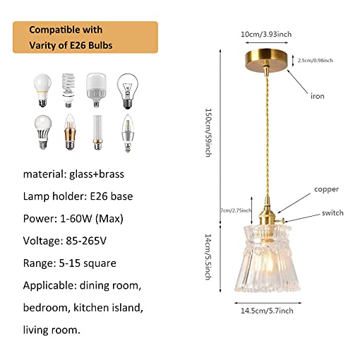 Lustre pour Éclairage de Couloir Réglable et Lampe de Salon E26 - 3