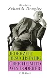 Jederzeit besuchsfähig: Über Heimito von Doderer - Herausgeber: Gerald Sommer Wendelin Schmidt-Dengler 