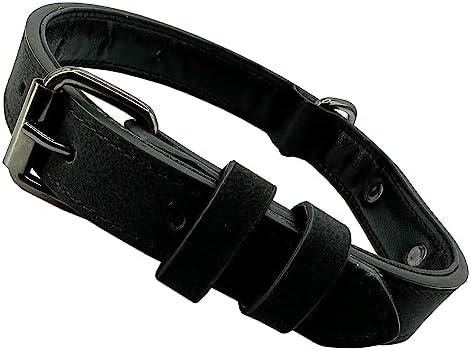 NACOCO Hundehalsband Mit Leine – Verstellbar, Größe M, Rot