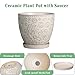 MPotTo 6.9 Inch Plant Pot with Drainage Hole and Saucer Ceramic Planter for Indoor Plant Flower Pot for Orchid Succulents Plants White
