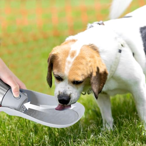 Bouteille d'eau avec bol pour promenade de chien sans fuite dans le sac - 4