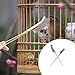 Abaodam 6 pcs Handle Bird Cage Cleaning Brush Pet Cage Cleaning Accessory Parrot Bird Droppings Wire Brush Scraper Tool Supplies