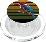 jz.birds