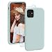 Produktbild ProBien Hülle für iPhone 11,iPhone 11 Premium Silikon Handyhülle mit Panzerglas,Schutz vor Stoßfest/Kratzfest Schutzhülle Bumper Case Cover für iPhone 11 (6,1 Zoll)-Mint