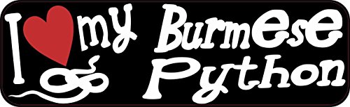 10 in x 3 in i Love My Burmese Python magnete