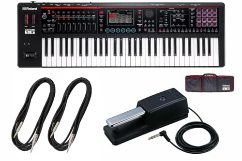 Roland ���[�����h/FANTOM-06�y�_���p�[�E�y�_���uDP-10�v+ �P�[�u���Z�b�g�I�z61���� ���p�r�V���Z�T�C�U�[