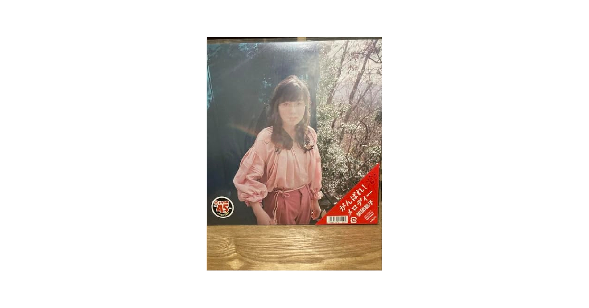 柴田聡子  がんばれ!メロディー  LP レコード 完全限定生産盤 がんばれ！メロディー 【完全限定生産】(45回転/2枚組アナログ