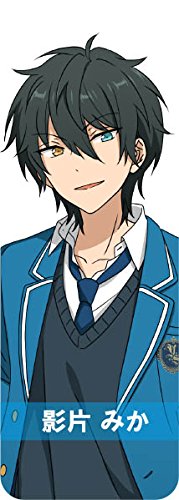 Amazon.co.jp: エンスカイ(ENSKY) あんさんぶるスターズ! ロング 
