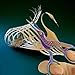 BIHRTC Embroidery Scissor 3.6 Inch Small Sewing Scissors Craft Office Fabric Stork Crane Scissor for Art Work Everyday Use Ideal As a Gift Scissors Set with 12 pcs Safety Cover