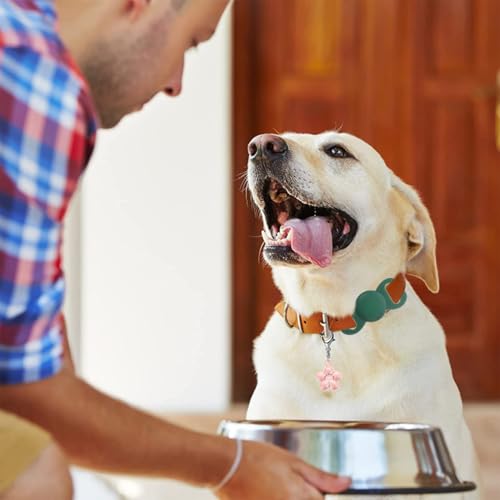 jojofuny 2Er Pack Silikon SchutzhüLle Kompatibel Mit Air Tag FüR Haustier Kratzfeste Anti-Verlust Abdeckung FüR Hundemarken Leichte SchutzhüLle FüR Haustierhalsband