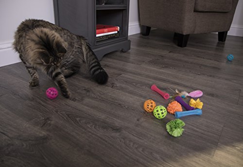 Smartykat (13 Set Bundle) Smarty Stash Variety Pack Cat Toys, Includes Catnip - Multi Color, Set Of 13 #TOP6