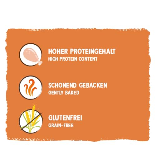 Sammy´s Fitness Schnitte mit Brokkoli und Karotten| Single Animal Protein| Proteinreich| Schonend hergestellt & luftgetrocknet| Frisch Fleisch| 20 x 25 g