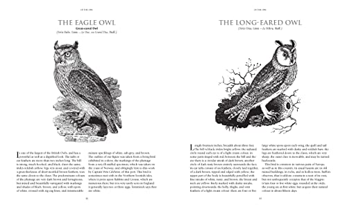 Bewick's British Birds: Over 180 Classic Illustrations by the Famed Engraver and Naturalist