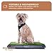 Downtown Pet Supply Dog Grass Pad with Tray, 20 x 25 w/Drawer - Outdoor and Indoor Potty System for Dogs with Replaceable Synthetic Grass Pee Turf - Portable and Waterproof Turf Dog Potty