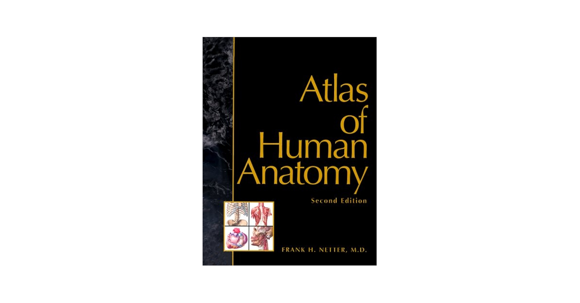 洋書　Netter Atlas of Human Anatomy Amazon.com: Atlas of Human Anatomy E-Book: Digital eBook