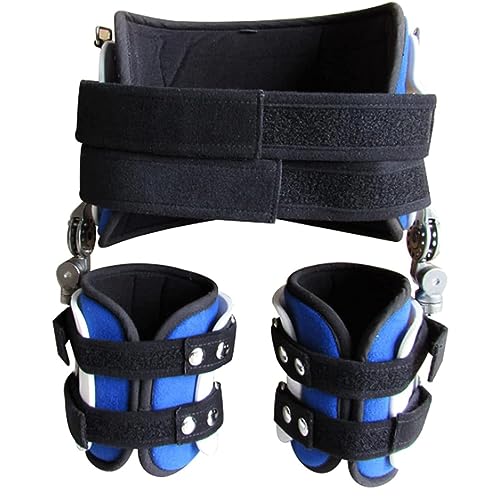 Ҋ֐ߊO]Œ葕AҊ֐ߊO]ŒqW̊֐ߒEPA֐ߒɂT|[g钲߉\ȏpqbvu[X,L