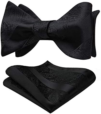 HISDERN mens Bow Ties for Men Modern