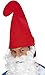 Red Gnome Hat