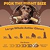 WhiteTail Naturals - Deer Antlers for Large Dogs - Long Lasting Antler Dog Chews - Crafted in USA, Naturally Shed Antler Dog Bones for Aggressive Chewers (Large (Pack of 1)) #3
