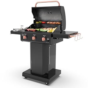 Kenmore 3-Burner Gas Grill | Foldab...