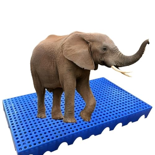 Zfmnoyev Lightweight Nestable Polyethylene Pallets, Floor Isolation Pallet Rack, Breathable Waterproof Grid Pad Ventilation Pallet, for Garage Supermarket Basement(20x20x2.5 cm)