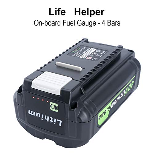 Biswaye 40V Battery - Fuel Gauge
