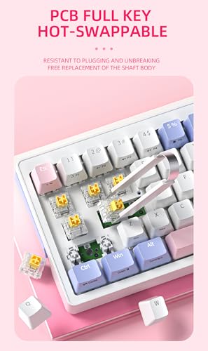 Image of ZIFRIEND Mechanical Gaming Keyboard - 68-Key Compact Layout with RGB Backlit, Ergonomic Design, Hot-Swappable Switches, Colorful Lighting Effects, and Volume Knob