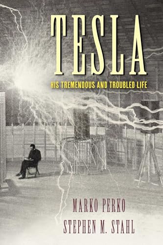 Tesla view 2