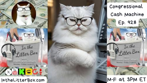 『CONGRESSIONAL CASH MACHINE | In the Litter Box w/ Jewels & Catturd – Ep. 928 – 11/21/2025』のカバーアート