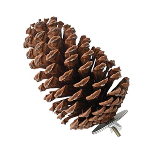 ڂ蒹~܂؃X^h - ~܂؁AIEX^hAP[WANZT[ACR݂̊AZLZCCR̎~܂ |^^̃IEAtB`AZLZCCRACR