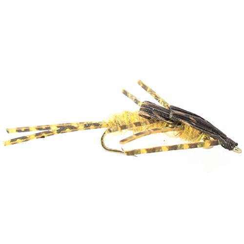 image for The Fly Fishing Place Trout Fly Assortment - Double Bead Nymph Collect