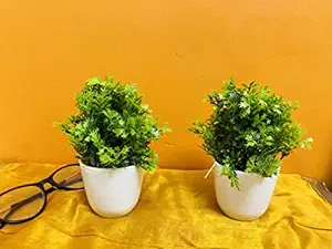 Ryme Artificial Wild Grass Plant with Pot for Home and Office Decoration (Set of 2 Green, 2)