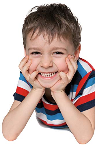 Simba Heros 100072282 - Domino con gli Animali