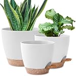 3 Pack Pots de plantes Intérieur 10/9/8 pouce Planters d'auto-arrosage pour les plantes Intérieures Pots à fleurs pour les végétaux Intérieurs avec trous de drainage et Saucer pour jardin intérieur extérieur (blanc)