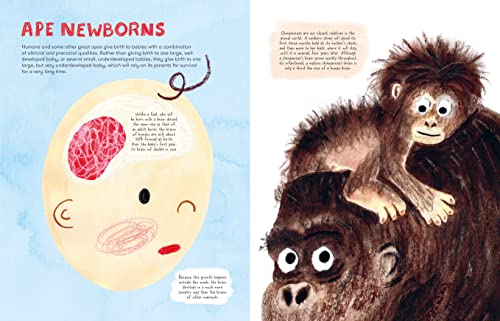 Mama Mammals: Reproduction and Birth in Mammals