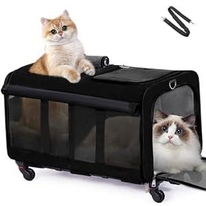 Cat Carrier,Amai Keto Cat Carrier Soft Side with Wheels for Dog & 2 Cats,Foldable Pet Travel Carrier for Medium Cats Under 25,Large,Black,24.4 x 16.5 x 15 inches