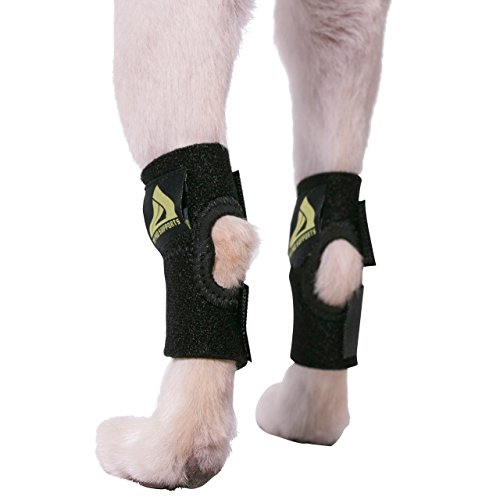 MyProSupports Pair of Dog Canine Rear Leg Hock Joint Wraps Protects Wounds, Heal Compression Brace Heals and Prevents Injuries and Sprains