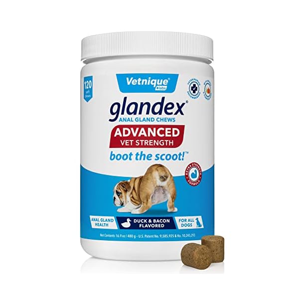 Vetnique Labs Glandex Advanced Strength Anal Gland Soft Chews with Mega Fiber for Dogs, Digestive Enzymes, Probiotics – Vet Recommended to Boot The Scoot Vegetarian Duck & Bacon (120ct) Vetnique Labs Glandex Advanced Strength Anal Gland Soft Chews with Mega Fiber for Dogs, Digestive Enzymes, Probiotics – Vet Recommended to Boot The Scoot Vegetarian Duck & Bacon (120ct)