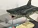 PNSO Megalodon Prehistoric Sharks Model Toy Scientific Art Dinosaurs Figure