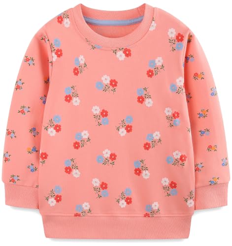 Image of Hongshilian Unisex Kids Cute Cartoon Cotton Sweater Shirt