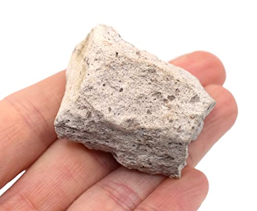 Image of EISCO 6PK Raw Rhyolite, Igneous Rock Specimens - Approx. 1 inch - Geologist Selected & Hand Processed - Great for Science Classrooms - Class Pack